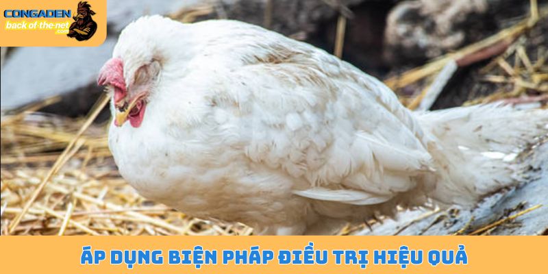 Áp dụng biện pháp điều trị hiệu quả