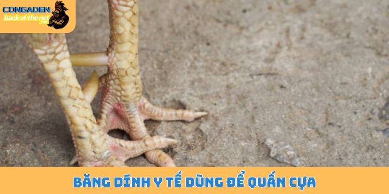 Băng dính y tế dùng để quấn cựa