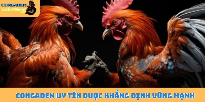 Congaden uy tín được khẳng định vững mạnh