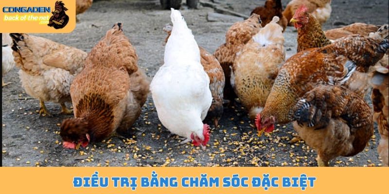 Điều trị bằng chăm sóc đặc biệt