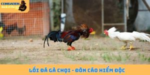 Lối đá gà chọi