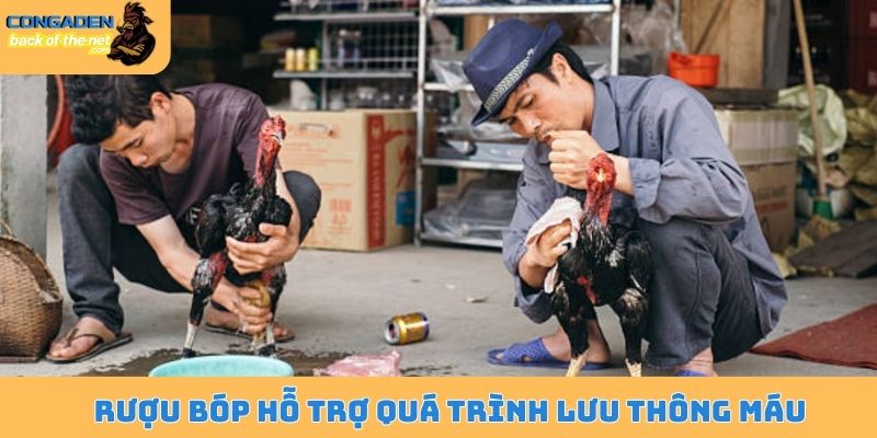 Rượu bóp hỗ trợ quá trình lưu thông máu